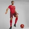 Puma UEFA EURO 2024 Schweiz Heimtrikot (Herren) Vorschaubild