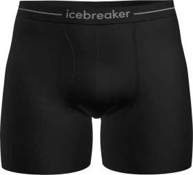 Icebreaker Anatomica w Fly Boxer Briefs schwarz (Herren)