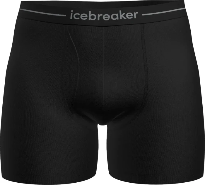 Icebreaker Anatomica w Fly Boxer Briefs schwarz (Herren)