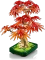 LEGO Botanicals - Japanischer Roter Ahorn Bonsai-Baum Vorschaubild