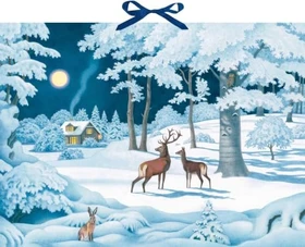 Coppenrath Wintertiere bei Nacht Wand-Adventskalender