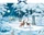 Coppenrath Wintertiere bei Nacht Wand-Adventskalender (95824)