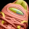 adidas Climacool 1 sun glow/bright yellow/frozen green Vorschaubild