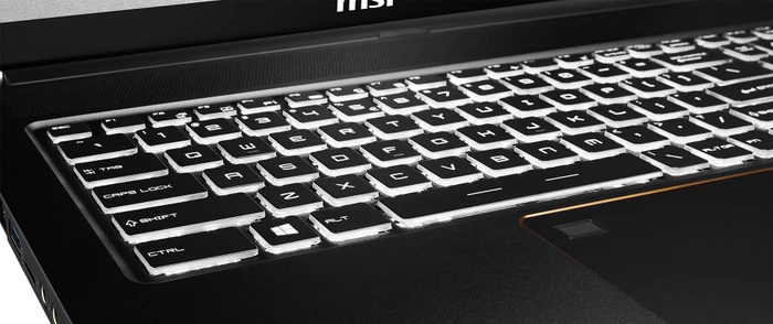 MSI WS75 9TK-637 Mobile Workstation WS75 9TK-637, Core i7-9750H, 32GB RAM, 1TB SSD, Quadro RTX 3000, DE