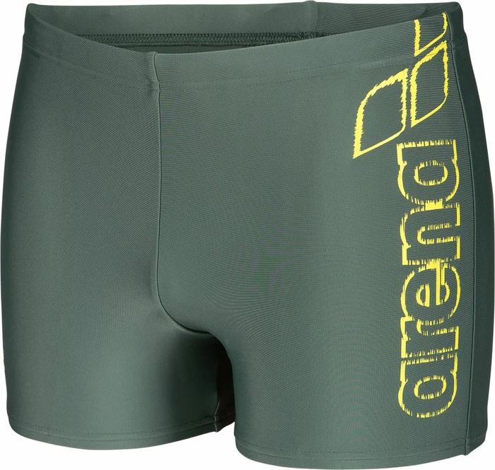 Arena Scatchy Badehose sage (Herren) (010281-600)
