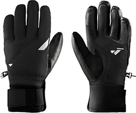 Zanier Zenith GTX Skihandschuhe schwarz