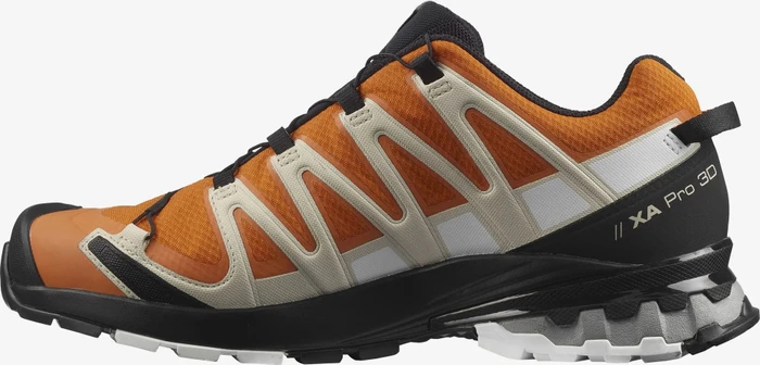 Salomon XA Pro 3D V8 GTX marmalade/rainy day/white (Herren)