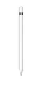 Apple Pencil 1. Gen / 2025, Set inkl. Lightning Adapter, Austausch-Spitze, USB-C zu Apple Pencil Adapter