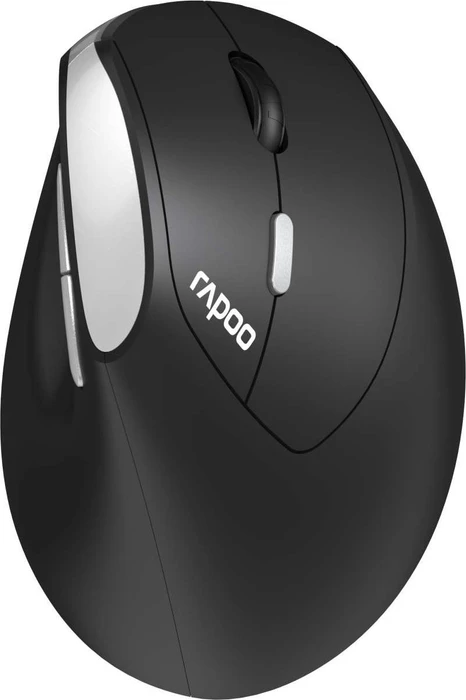 Rapoo EV250 Silent Ergonomic Wireless Mouse schwarz/silber, USB