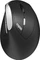 Rapoo EV250 Silent Ergonomic Wireless Mouse schwarz/silber, USB Vorschaubild