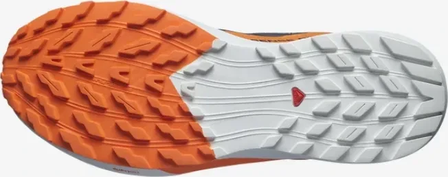 Salomon Sense Ride 5 GTX india ink/carbon/dragon fire (Herren)