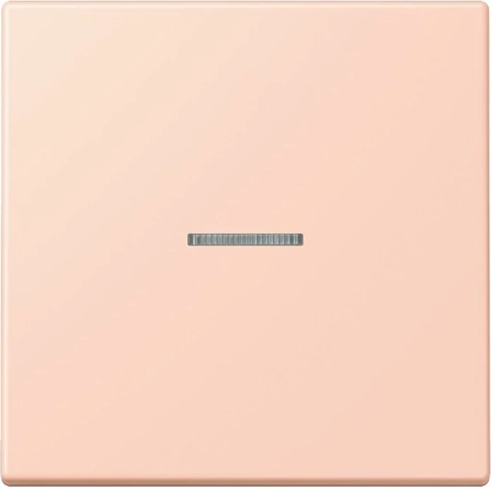 Jung HOME Taster 1-fach, l'ocre rouge clair