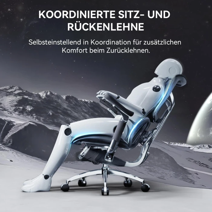Sihoo Doro C300 Ergonomischer Bürostuhl, schwarz