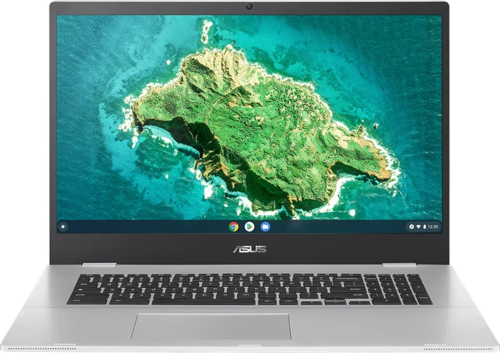 ASUS Chromebook CX1 CX1700CKA-AU0036, Transparent Silver, Pentium Silver N6000, 8GB RAM, 128GB Flash, DE