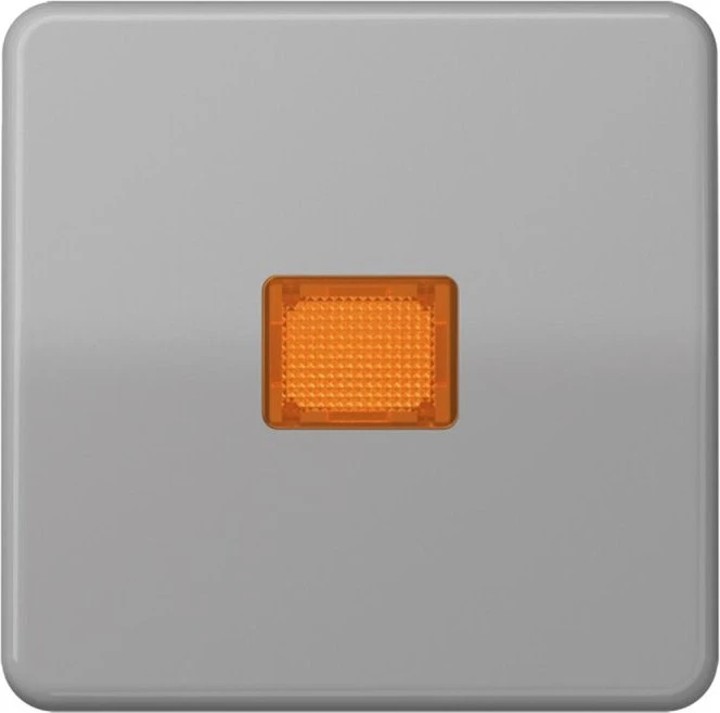 Jung Serie CD Wippe Duroplast mit Lichtaustrittsfenster, grau