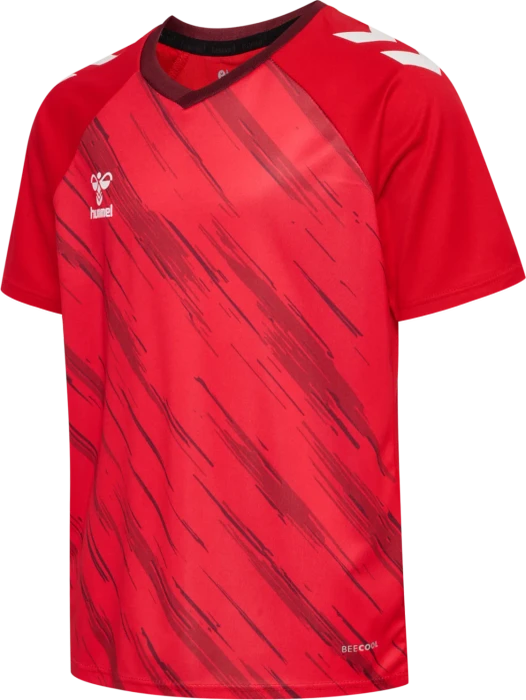 hummel Match Triumph Trikot (Junior)