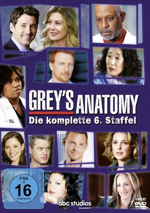 Grey's Anatomy - Die jungen Ärzte Season 6 (DVD)