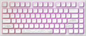 Dark Project ALU81A Terra Nostra Gaming Keyboard, weiß, LEDs RGB, g3ms Moonstone, USB, US (DPKB_NOSTRA_81_ANSI_WHITE)