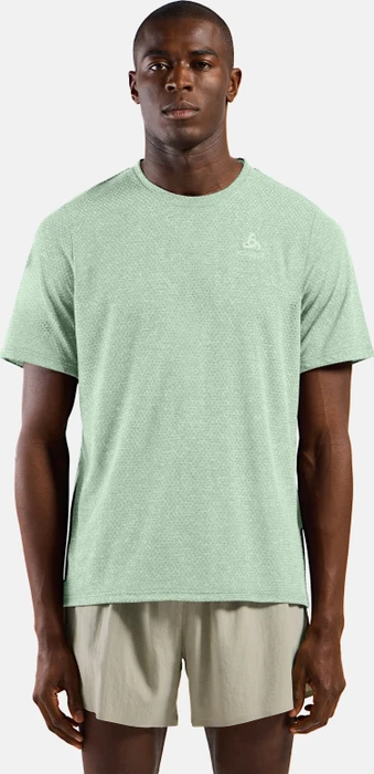 Odlo Active 365 Linencool Laufshirt kurzarm ambrosia melange (Herren)