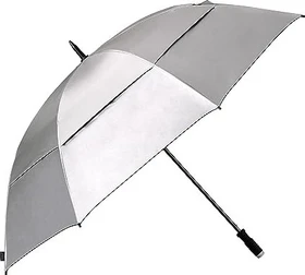 EuroSchirm Birdiepal Schirm silber