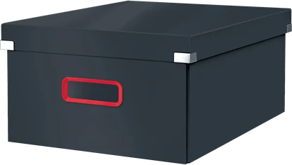 Leitz Click & Store Cosy Aufbewahrungsbox groß, A3, grau