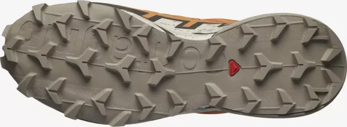 Salomon Speedcross 6 Gore-Tex coral gold/vintage khaki/rainy day (Damen)