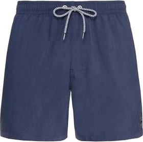 Protest Davey Badeshorts ground blue (Herren)