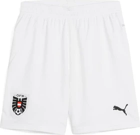 Puma UEFA EURO 2024 Österreich Replica Shorts Hose (Junior)