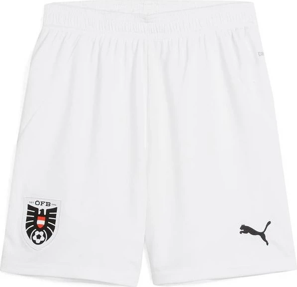 Puma UEFA EURO 2024 Österreich Replica Shorts Hose (Junior)