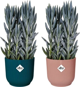Elho Vibes Fold mit Rollen 35cm tiefes blau