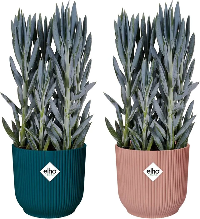 Elho Vibes Fold mit Rollen 35cm tiefes blau