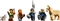 LEGO Ideas - Mittelalterliche Schmiede Vorschaubild