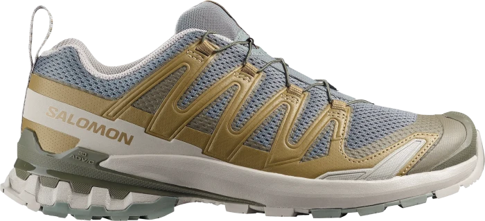 Salomon XA Pro 3D V9 dark gull gray/cloudburst/asphalt (Herren)
