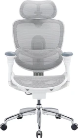 Sihoo Doro C300 Pro V2 adaptiver ergonomischer Bürostuhl, weiß