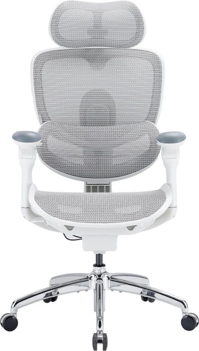 Sihoo Doro C300 Pro V2 adaptiver ergonomischer Bürostuhl, weiß