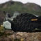 adidas Terrex Trailmaker 2.0 GTX silver green/linen green/legend ivy (Damen) Vorschaubild