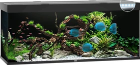 Juwel Rio 450 LED Aquarium-Set, schwarz, 450l