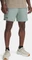 Under Armour Vanish Hose kurz timberwolf taupe/black (Herren) Vorschaubild