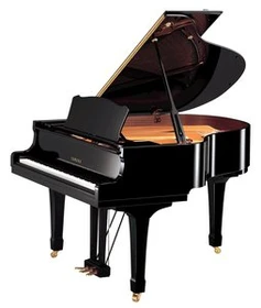 Yamaha C1