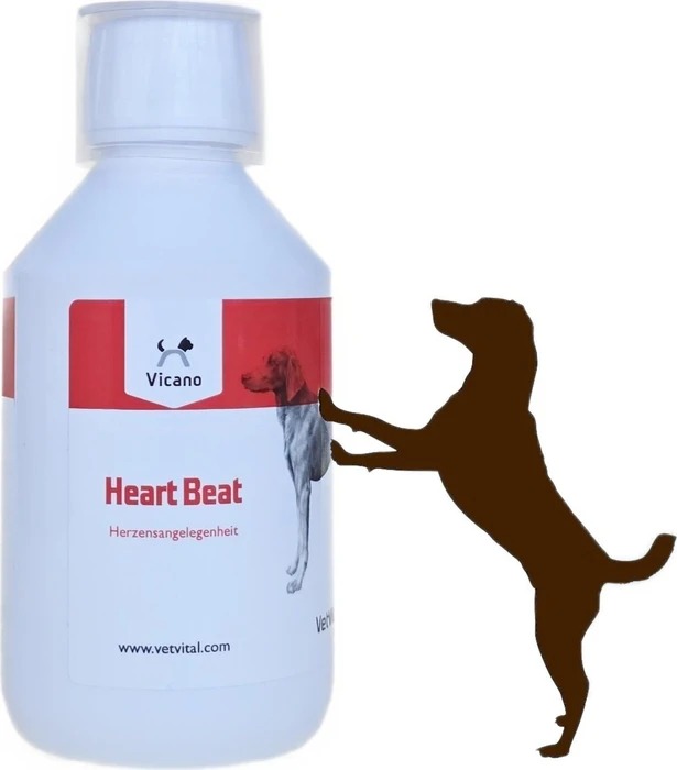 VetVital Vicano HeartBeat Herzbeschwerdemittel, 250ml