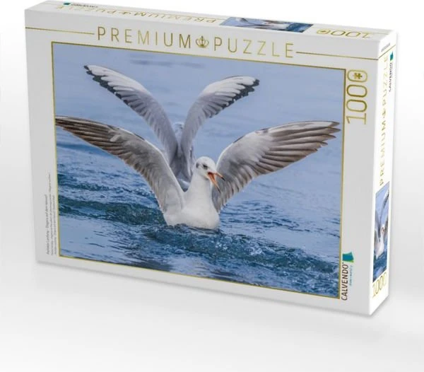 Calvendo Perfekte Landung - Eleganz auf dem Wasser!
