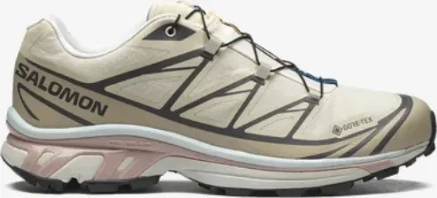 Salomon XT-6 GTX almond milk/feather gray/pale mauve