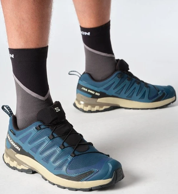 Salomon XA Pro 3D V9 GTX poseidon/white pepper/falcon (Herren)