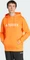 adidas Terrex Multi Large Logo Hoodie pure tangerine (Herren) Vorschaubild
