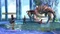 Final Fantasy X/X-2 HD Remaster (PS4) Vorschaubild