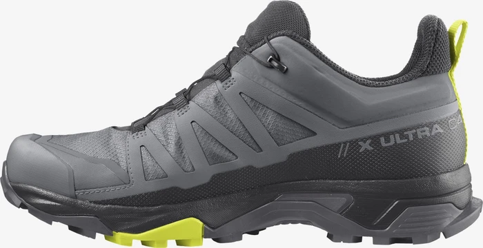 Salomon X Ultra 4 GTX quiet shade/black/evening primrose (Herren)