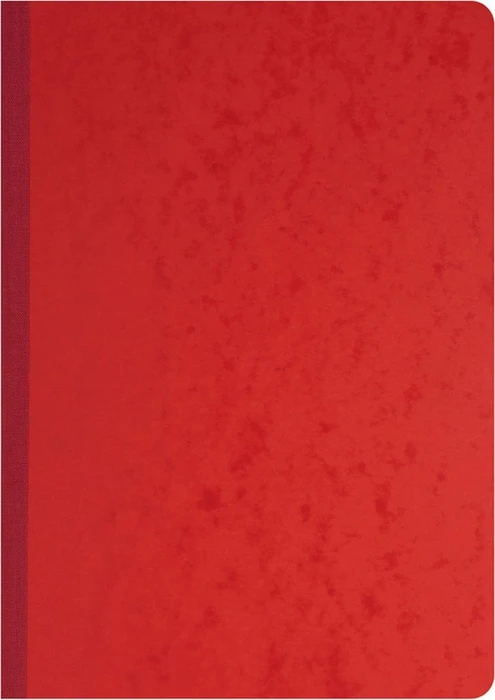 Exacompta Geschäftsbuch mit 2 Betragsspalten, A4, liniert, 40 Blatt