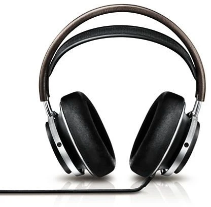 Philips Fidelio X1
