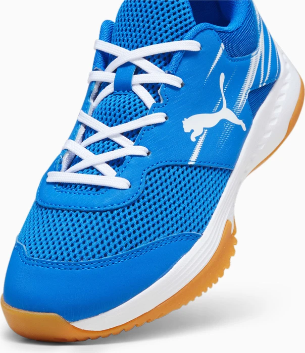 Puma Varion II Indoor blau/weiß (Junior)