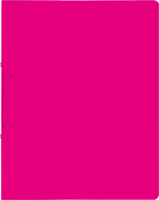 Brunnen FACT!pp Ringbuch 2-Ring, 20mm, A4, pink/transparent